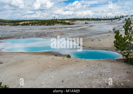 Porcellana piscine blu del flusso di acqua attraverso la porcellana bacino di Norris Geyser Basin. Parco Nazionale di Yellowstone, Wyoming USA Foto Stock