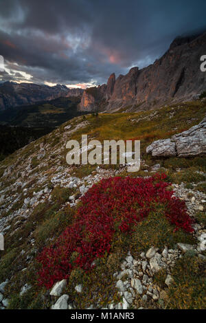 Bellissimo paesaggio nelle Dolomiti Foto Stock