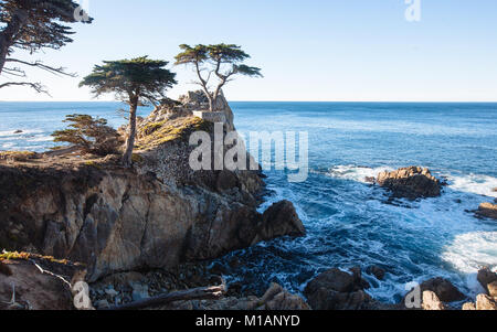 Lone Cipresso in 17 Mile Drive Foto Stock