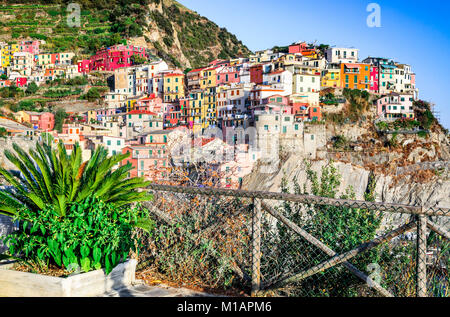 Manarola, Cinque Terre. Piccola cittadina in provincia di La Spezia, Liguria, Italia settentrionale la seconda più piccola delle famose Cinque Terre. Foto Stock