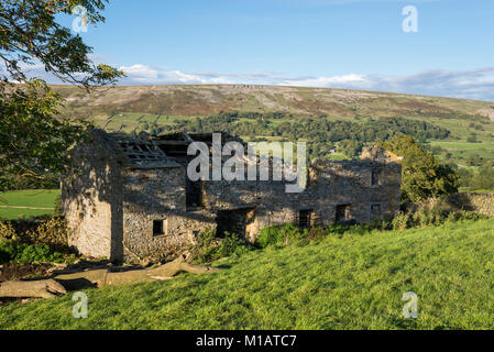 La rovina di un antico casale in pietra in Swaledale, Yorkshire Dales, Inghilterra. Foto Stock