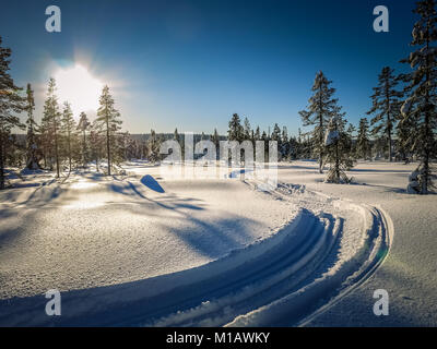 Single-track neve piste mobili attraverso il paesaggio invernale. Pista di Sci curato. Sole basso al di sopra dell'orizzonte. Pini sparsi intorno. Foto Stock