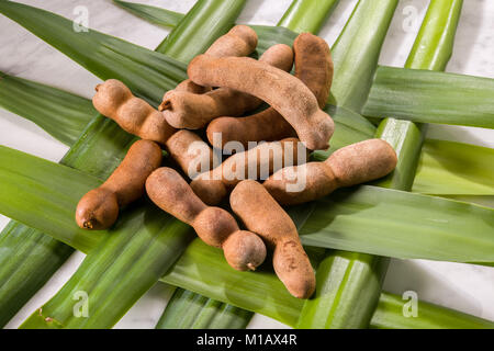 Il tamarindo sul verde foglie di palmo Foto Stock