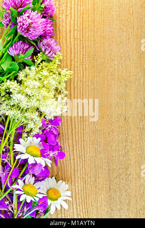 Cornice di fiori di trifoglio, camomilla, fireweed e olmaria sullo sfondo di un pannello di legno Foto Stock