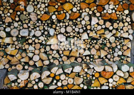 Cresciuto in casa, appena tagliato e split, la legna da ardere impilati in aprire legnaia asciugare all'aria. Diverse specie hanno colori diversi fino a secco. Foto Stock