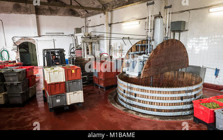 Dizy, Francia - 10 Settembre 2017: in legno antico vino presse (pressoir) e uomo che lavora con un carrello elevatore a Champagne casa reggente in Dizy, Francia Foto Stock