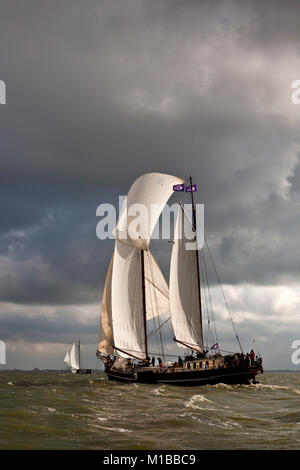 I Paesi Bassi, Enkhuizen. gara annuale dei velieri tradizionali chiamati Klipperrace sul lago chiamato lago IJsselmeer. Foto Stock