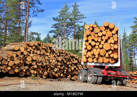 Pila di registri e rimorchio pieno di legname in foresta gestito in una giornata di sole. Foto Stock