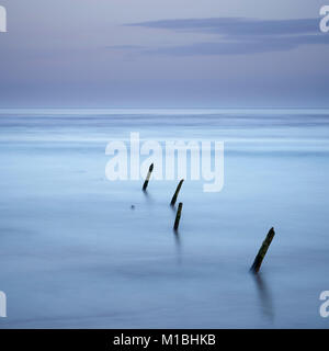 Lunan Bay, vicino a Montrose, Angus, Scozia al crepuscolo. Riserva Naturale Nazionale Foto Stock
