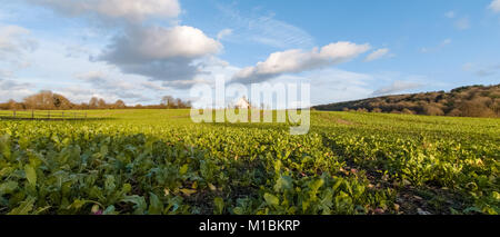 St Huberts Chiesa, Idsworth, Hampshire, Regno Unito - Gennaio tramonto Foto Stock