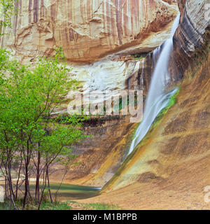 Abbassare calf creek falls vicino a Escalante, Utah Foto Stock