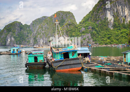 Halong Bay villaggio galleggiante, Vietnam Foto Stock