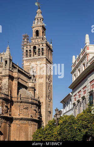 La Giralda torre campanaria, Siviglia, Andalusia, Spagna. Foto Stock