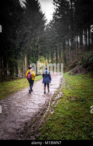 Cardinham boschi in Cornovaglia - due persone a piedi lungo una via in Cardinham boschi in Bodmin Cornwall. Foto Stock