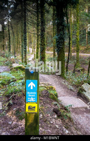 Cardinham boschi in Cornovaglia - un cartello in legno dando indicazioni per la Bestia di Bodmin mountain bike trail in Cardinham boschi in Bodmin Cornwall. Foto Stock