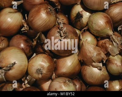 Cipolle fresche. Cipolle dello sfondo. Tasto basso Foto Stock