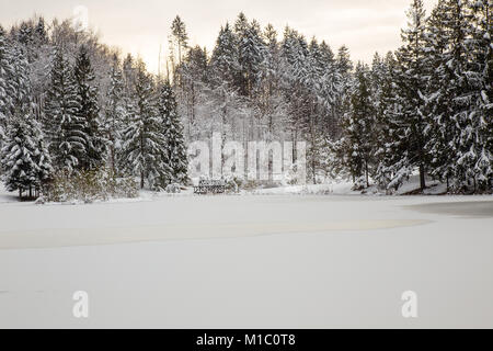 In inverno il paesaggio idilliaco con alberi innevati e la piccola chiesa sul Signore lago, Slovenia Foto Stock