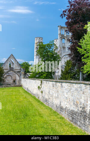 Jumièges le rovine dell'Abbazia, Seine-Maritime, Normandie, Francia, Europa Foto Stock