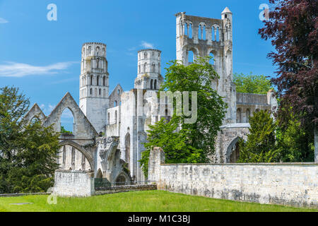 Jumièges le rovine dell'Abbazia, Seine-Maritime, Normandie, Francia, Europa Foto Stock
