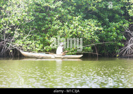 Madu Ganga, Balapitiya, Sri Lanka - Dicembre 2015 - Un vecchio pescatore cercando di catturare qualche pesce a Maduganga lago, Asia Foto Stock