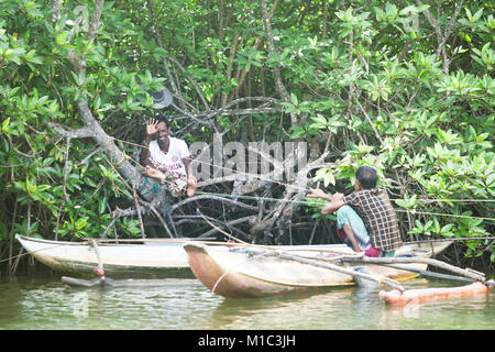 Madu Ganga, Balapitiya, Sri Lanka - Dicembre 2015 - Due pescatori rilassante nel mangrooves durante una pausa di lavoro, Asia Foto Stock