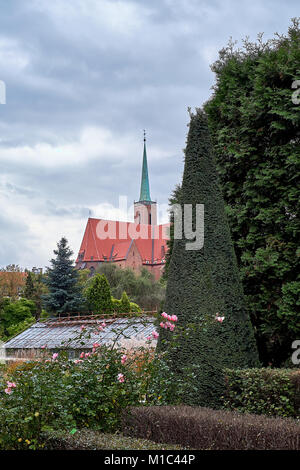 Chiesa collegiata di Santa Croce e San Bartolomeo in Ostrow Tumski è un punto di riferimento della città di Wroclaw, Polonia. Insolito straordinaria vista dal Foto Stock