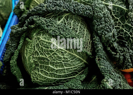 Fresh cavolo verza al Frarmer organico il mercato in Europa. Foto Stock