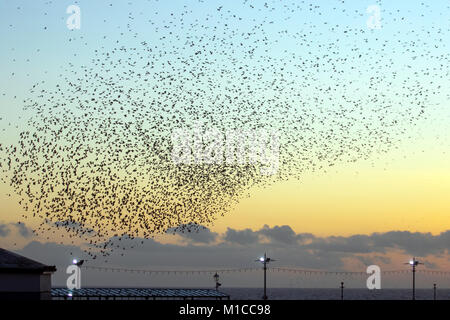 Blackpool, Lancashire. Regno Unito Meteo. Il 29 gennaio 2018. Glorioso tramonto sul molo nord come storni raccogliere a Blackpool come crepuscolo approcci. Decine di migliaia di questi uccelli migratori si radunano sul foreshore prima di volare a loro posatoi nel relativo riparo del molo struttura. Credito: MediaWorldImages/AlamyLiveNews. Foto Stock