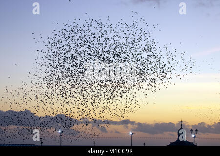 Blackpool, Lancashire. Regno Unito Meteo. Il 29 gennaio 2018. Glorioso tramonto sul molo nord come storni raccogliere a Blackpool come crepuscolo approcci. Decine di migliaia di questi uccelli migratori si radunano sul foreshore prima di volare a loro posatoi nel relativo riparo del molo struttura. Credito: MediaWorldImages/AlamyLiveNews. Foto Stock