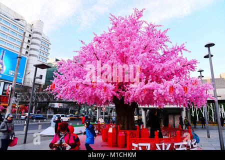 Beijin, Beijin, Cina. 26 gen, 2018. Pechino, Cina-26th Gennaio 2018: artificiale Peach Blossoms può essere visto durante il periodo invernale a Xidan Commercial Street a Pechino. Credito: SIPA Asia/ZUMA filo/Alamy Live News Foto Stock