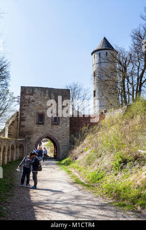 Castello plesse, Bassa Sassonia, Germania Foto Stock