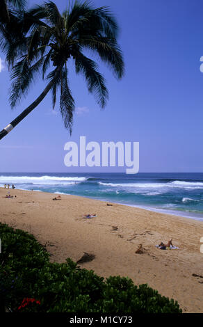 La pipeline, North Shore Oahu è una delle migliori spiagge per il surf nel mondo Foto Stock