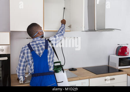 Pest Control lavoratore la spruzzatura di pesticidi con irroratrice in cucina Foto Stock