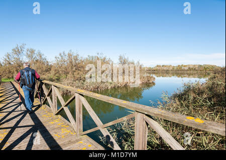 Escursionista (60 anni) su una passerella in legno sul fiume. Foto Stock