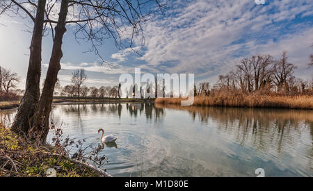 Paesaggio rurale. Il lago con alberi ance, chiesa rurale e di riflessione. Piscina Swan sull'acqua. Foto Stock