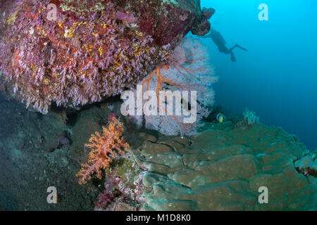 Scuba Diver esplora Coral reef sui massi a Elephant Rock di testa nel Mare delle Andamane, Thailandia. Dicembre, 2017 Foto Stock