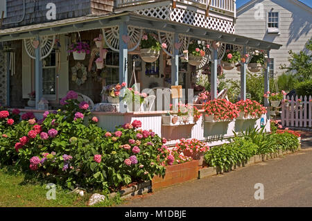 Cottages in ex Wesleyan Grove (1835) storicamente una religiosa comunità d'estate. Ora noto come Martha's Vineyard Campmeeting Assoc. Foto Stock