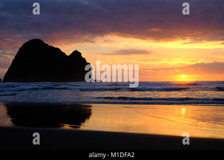 Tramonto su Piha Beach, Nuova Zelanda Foto Stock