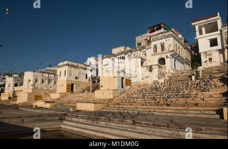 La vita lungo la balneazione ghats, Pushkar, Rajasthan, India Foto Stock