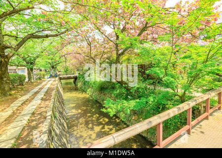 Via dei Filosofi Kyoto Foto Stock