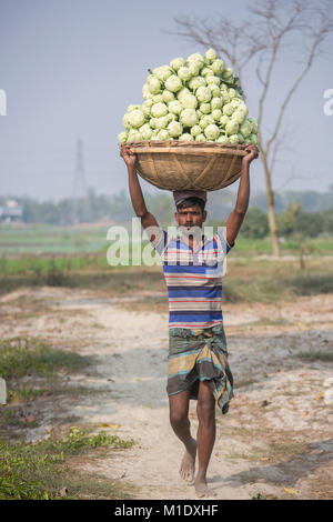 Un contadino di ritorno dal campo con Kohlrabis. Foto Stock