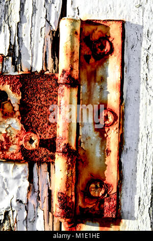 Rusty cerniere sulla porta bianca Foto Stock