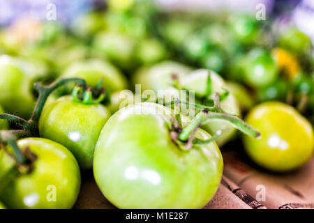 Macro closeup di molti piccoli acerbi pomodori verdi sul vitigno del giardino sul tavolo Foto Stock
