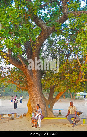 L uomo e la donna sul banco sotto shade tree in Murchison Falls National Park lungo il Victoria Nilo in Uganda. Foto Stock
