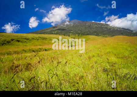 Verde paesaggio sulle colline di Gunung Rinjani vulcano nell Isola di Lombok, Indonesia Foto Stock