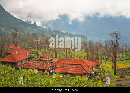 Cemoro Lawang villaggio nelle vicinanze la spettacolare Gunung Bromo e Sumeru vulcani in Java, Indonesia Foto Stock