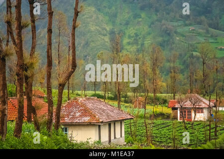 Cemoro Lawang villaggio nelle vicinanze la spettacolare Gunung Bromo e Sumeru vulcani in Java, Indonesia Foto Stock