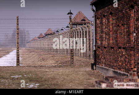 View all'interno di Auschwitz II - Birkenau lungo la recinzione elettrificata, torri di guardia e filo spinato sfocatura a distanza. Foto Stock