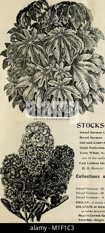 1902 Catalogo di grado elevato di semi, piante, lampadine, ecc. (1902) (19943474843) Foto Stock