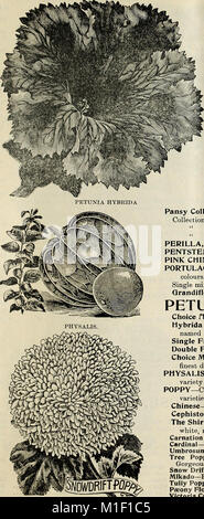 1902 Catalogo di grado elevato di semi, piante, lampadine, ecc. (1902) (20570848181) Foto Stock